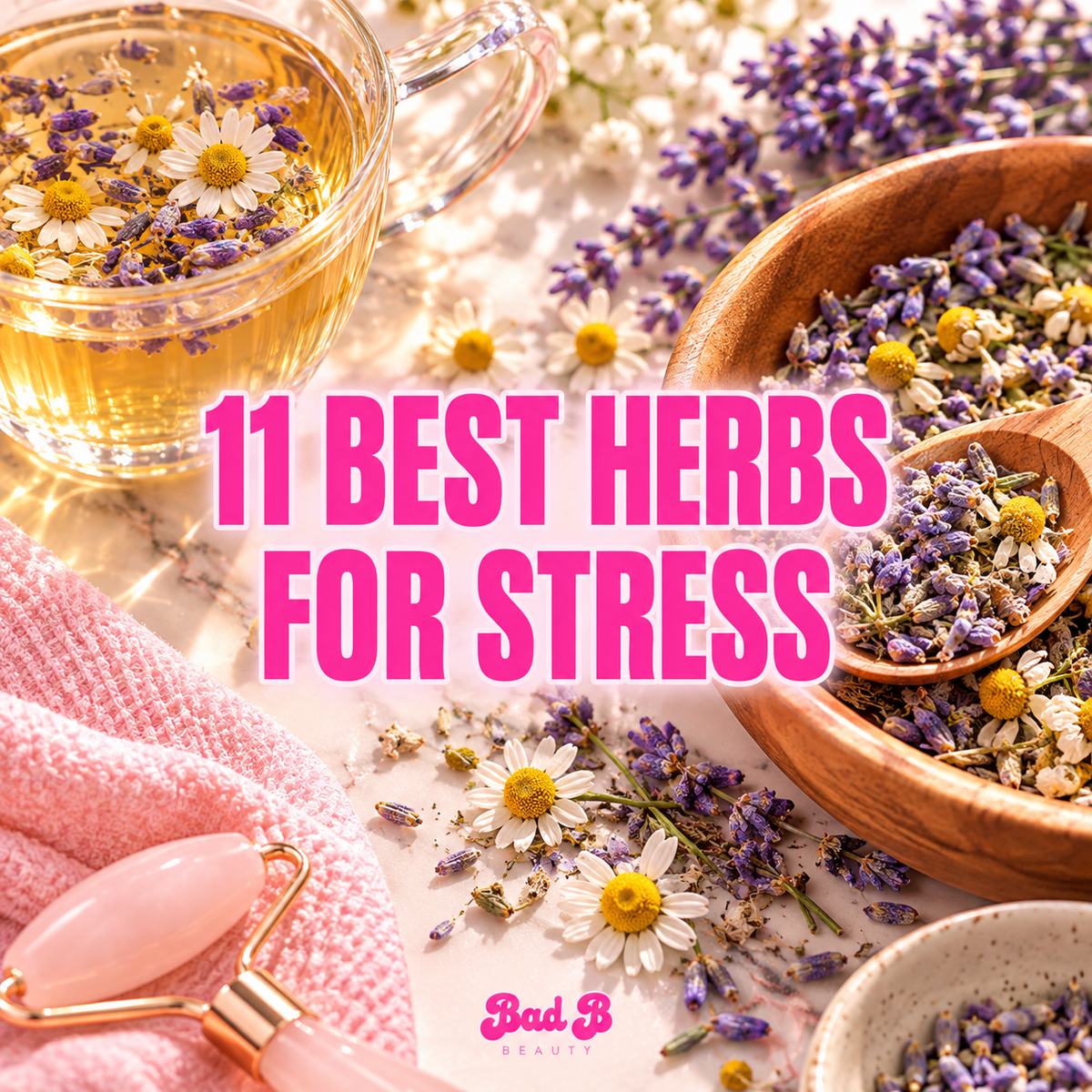 11 Best Herbs for Stress & Anxiety