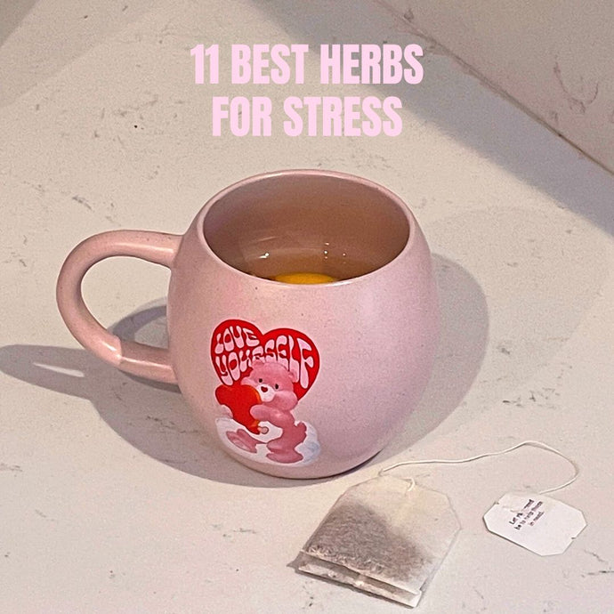 11 Best Herbs for Stress & Anxiety