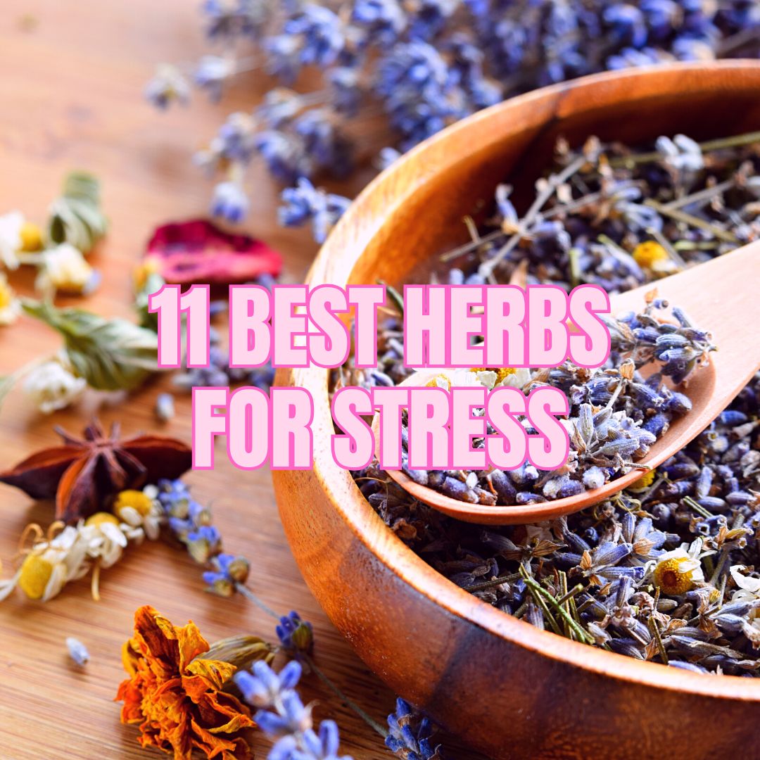 11 Best Herbs for Stress & Anxiety